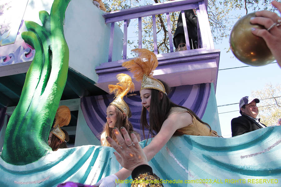 2023-Krewe-of-Iris-08853