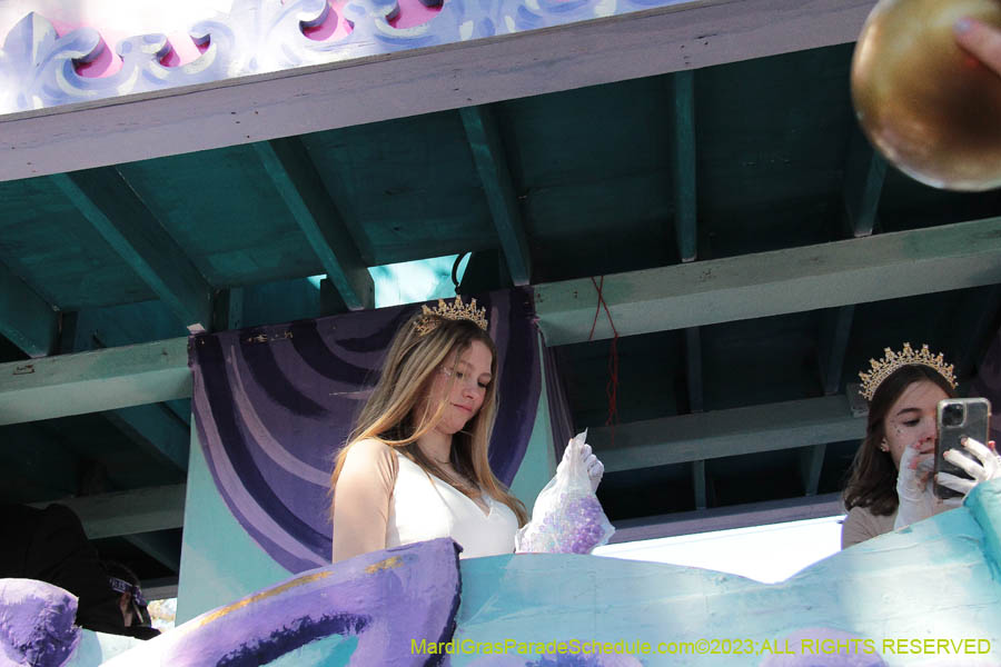 2023-Krewe-of-Iris-08854