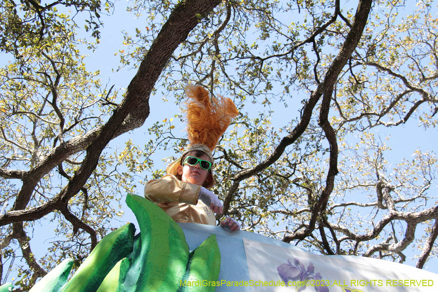 2023-Krewe-of-Iris-08856