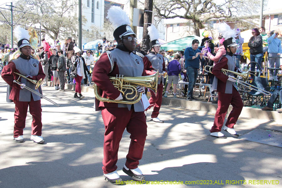 2023-Krewe-of-Iris-08858