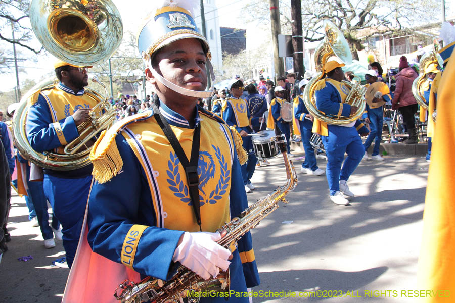 2023-Krewe-of-Iris-08969