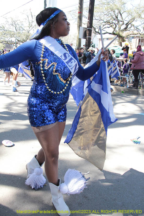 2023-Krewe-of-Iris-08970