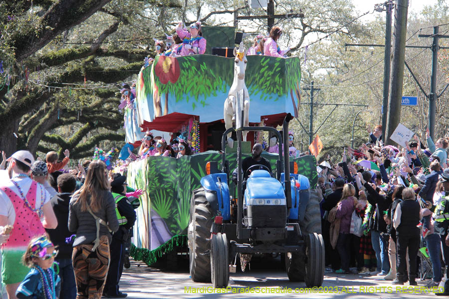 2023-Krewe-of-Iris-08972