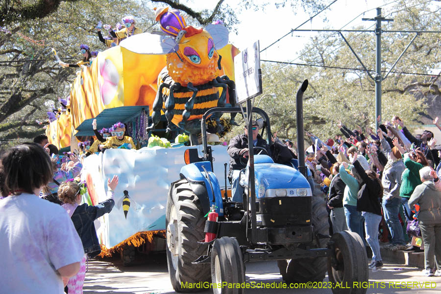 2023-Krewe-of-Iris-08988