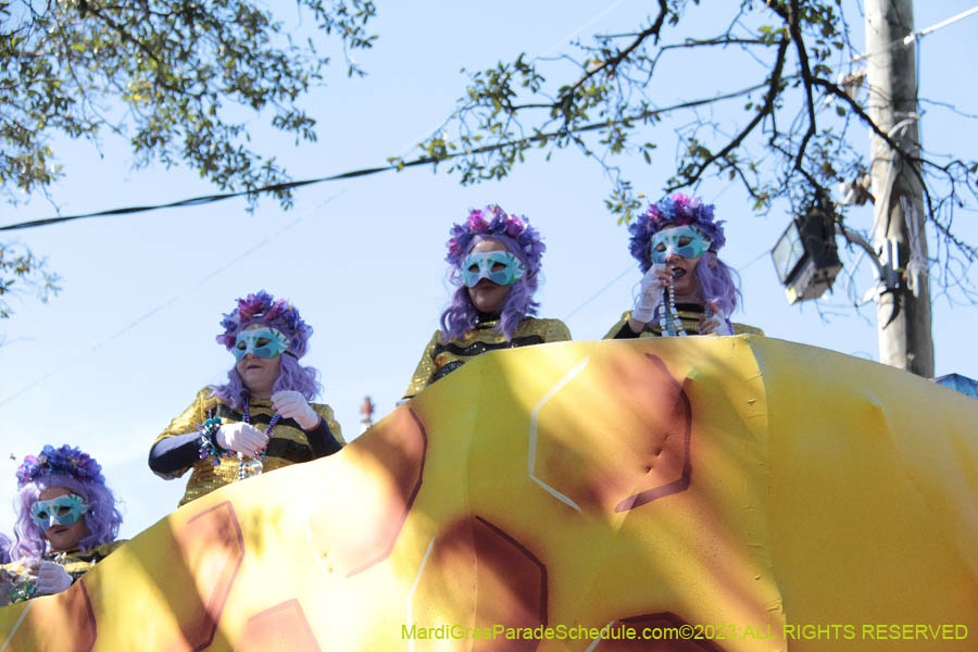 2023-Krewe-of-Iris-08994