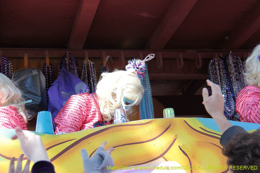 2023-Krewe-of-Iris-09195