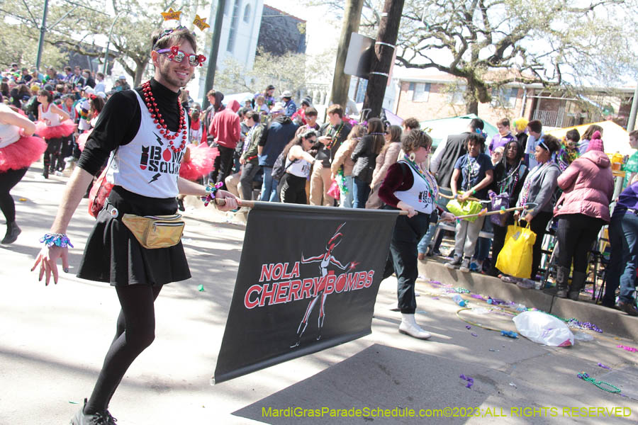 2023-Krewe-of-Iris-09243