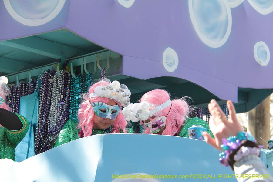 2023-Krewe-of-Iris-09294