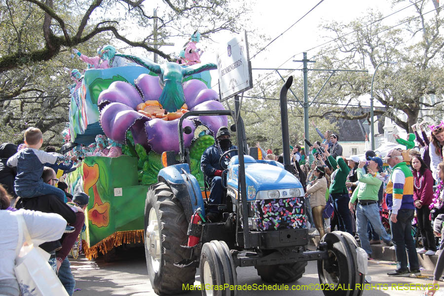 2023-Krewe-of-Iris-09343