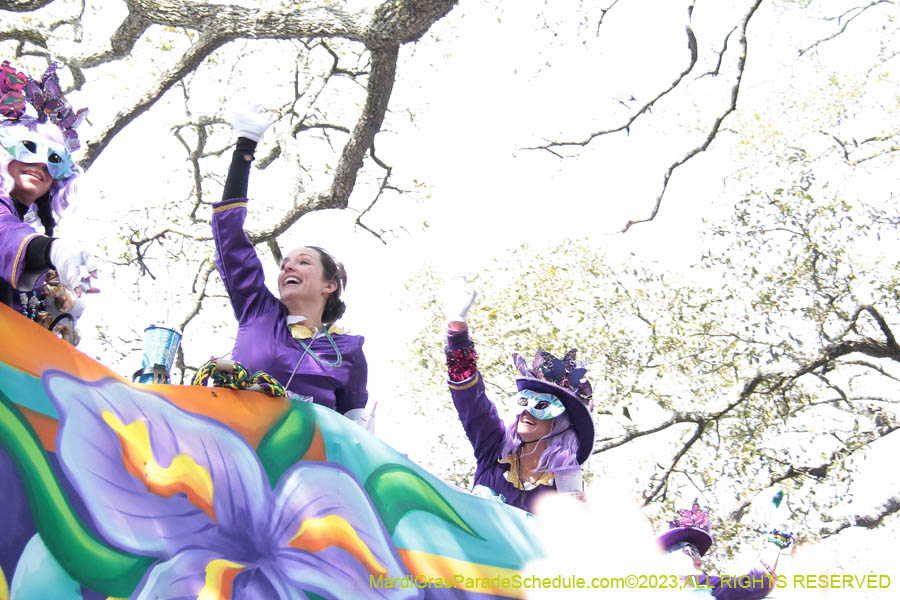 2023-Krewe-of-Iris-09360