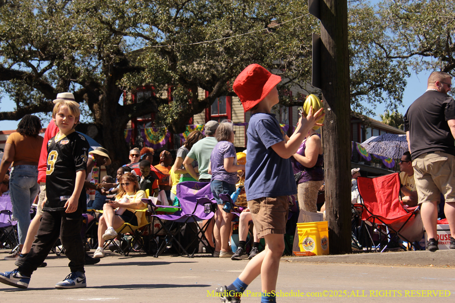Krewe-of-Iris-2025-0594