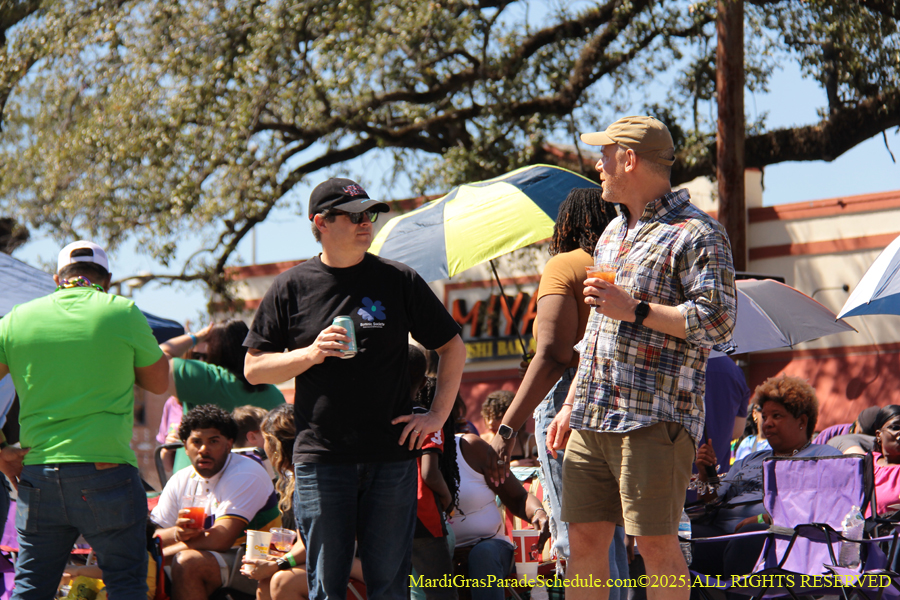 Krewe-of-Iris-2025-0595