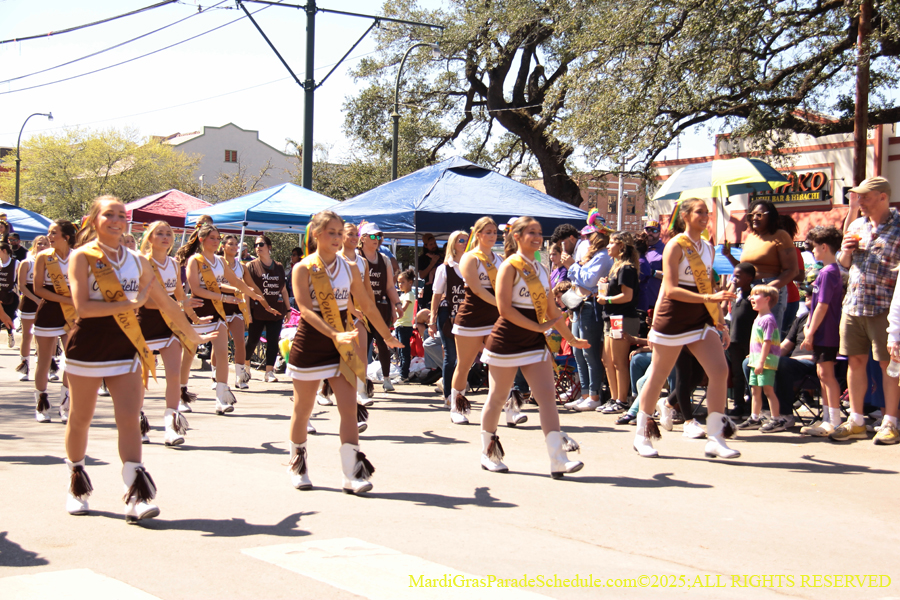 Krewe-of-Iris-2025-0598