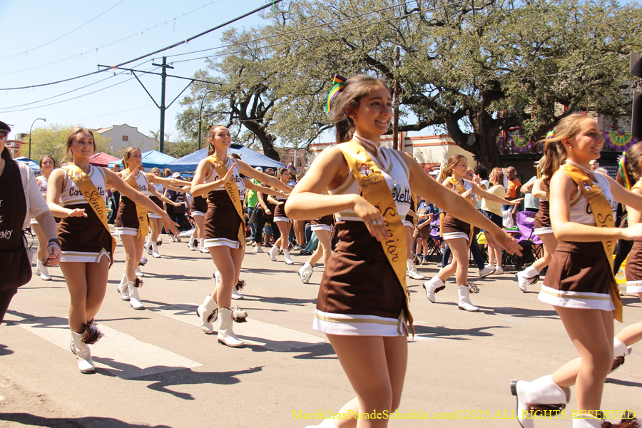 Krewe-of-Iris-2025-0599