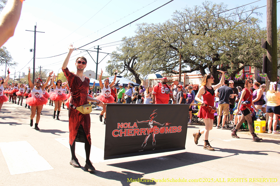 Krewe-of-Iris-2025-0604