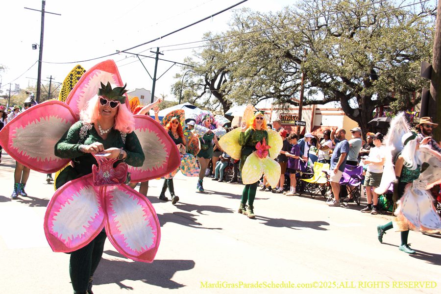 Krewe-of-Iris-2025-0622