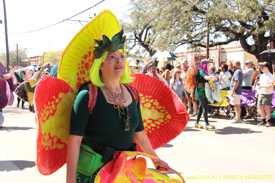 Krewe-of-Iris-2025-0624
