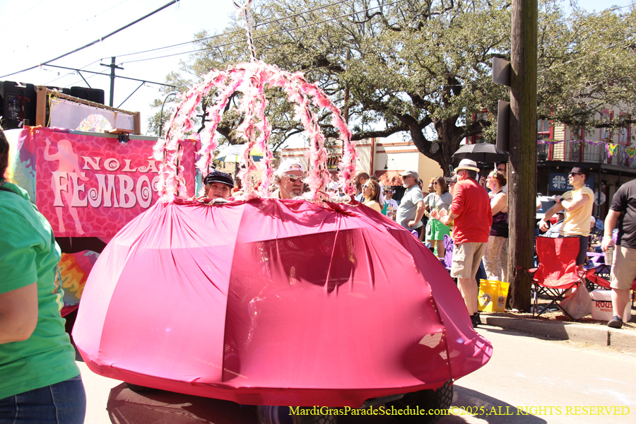 Krewe-of-Iris-2025-0634