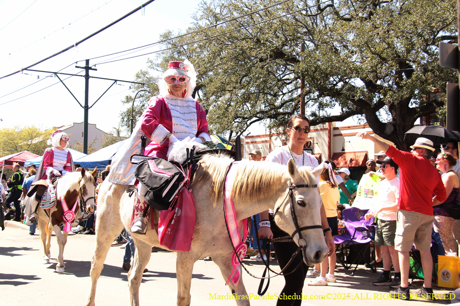 Krewe-of-Iris-2025-0637