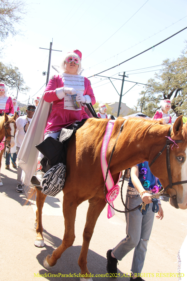 Krewe-of-Iris-2025-0638