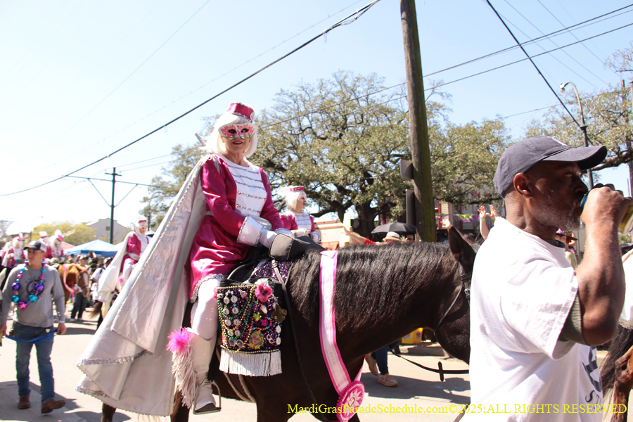 Krewe-of-Iris-2025-0639