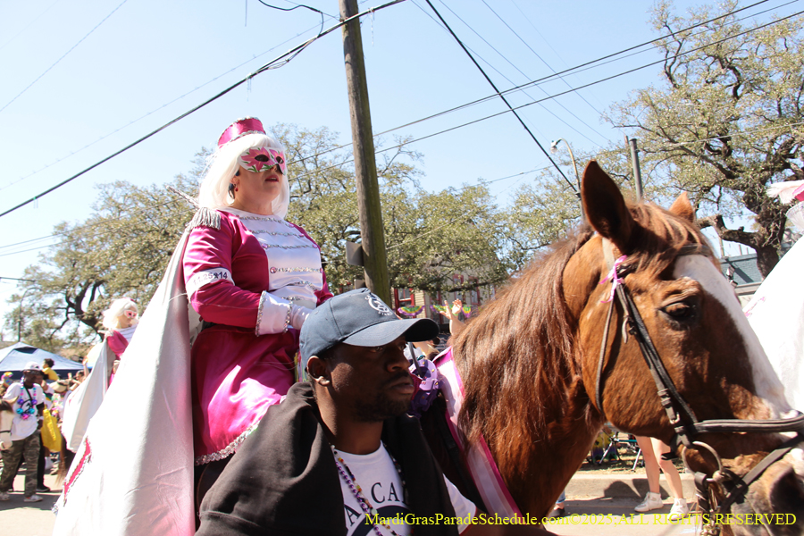 Krewe-of-Iris-2025-0641