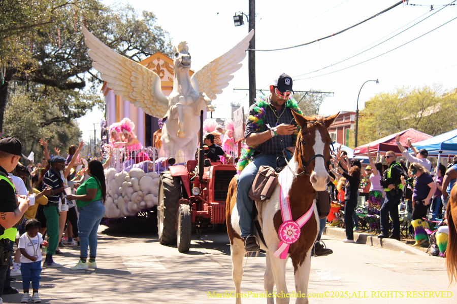 Krewe-of-Iris-2025-0642