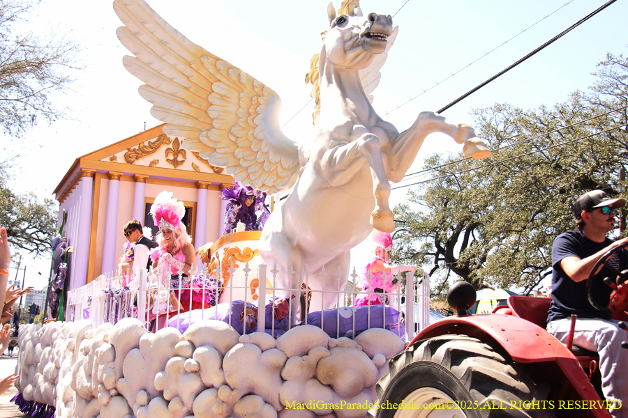 Krewe-of-Iris-2025-0644