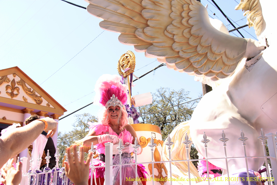 Krewe-of-Iris-2025-0645