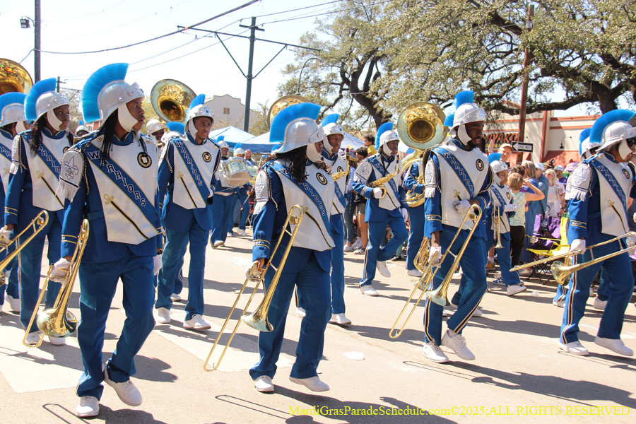 Krewe-of-Iris-2025-0648