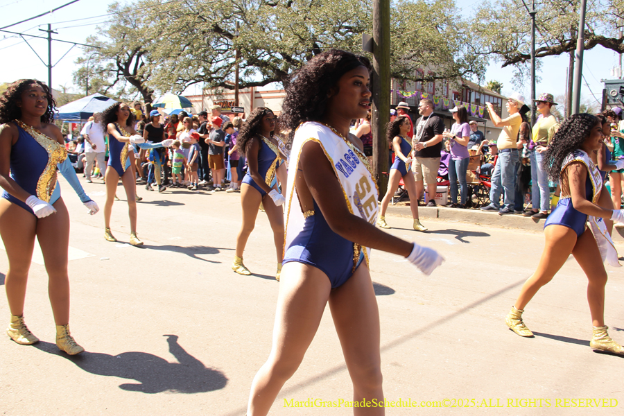 Krewe-of-Iris-2025-0657