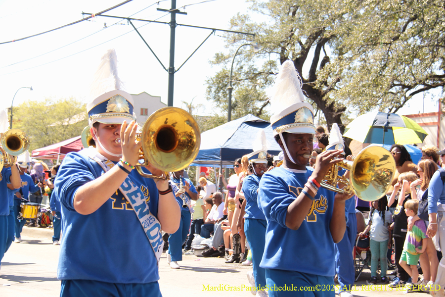 Krewe-of-Iris-2025-0659