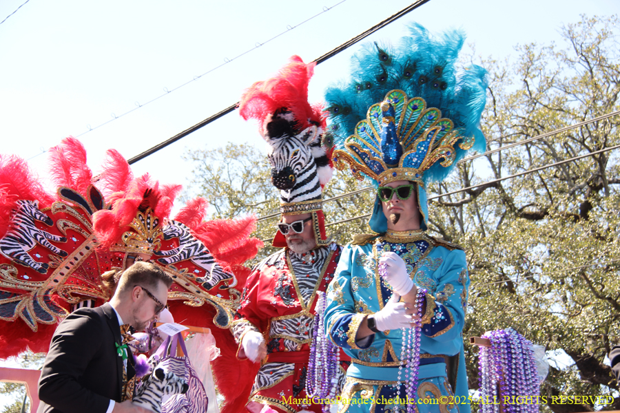 Krewe-of-Iris-2025-0662