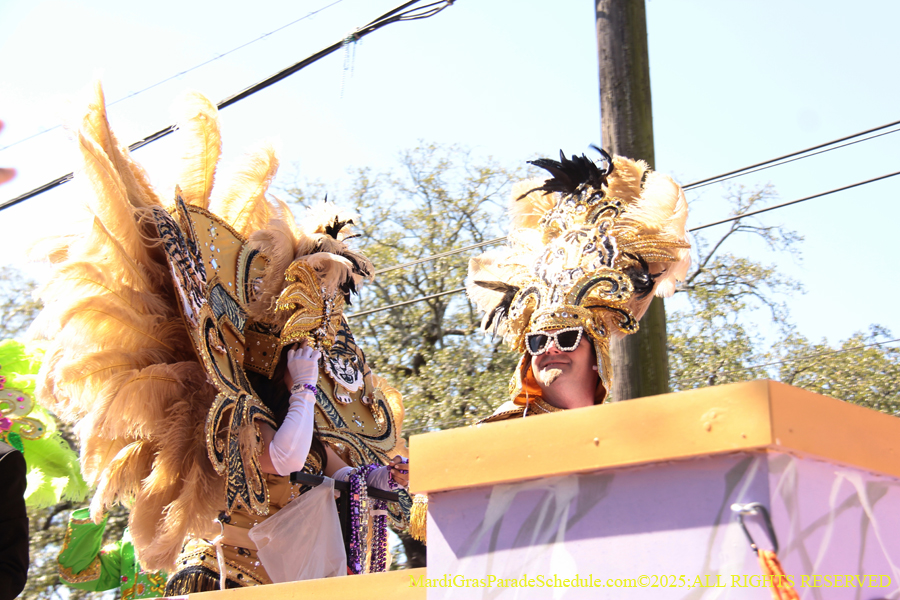 Krewe-of-Iris-2025-0664