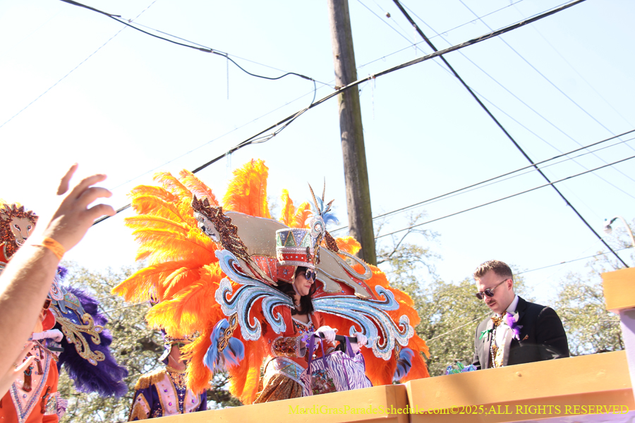 Krewe-of-Iris-2025-0666