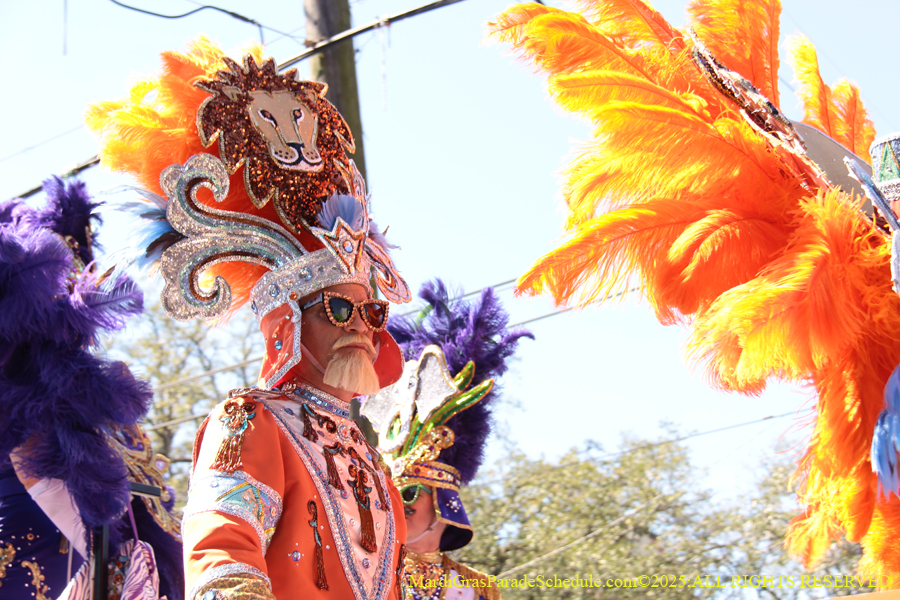 Krewe-of-Iris-2025-0667