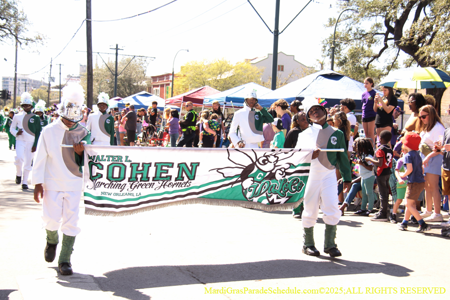 Krewe-of-Iris-2025-0669