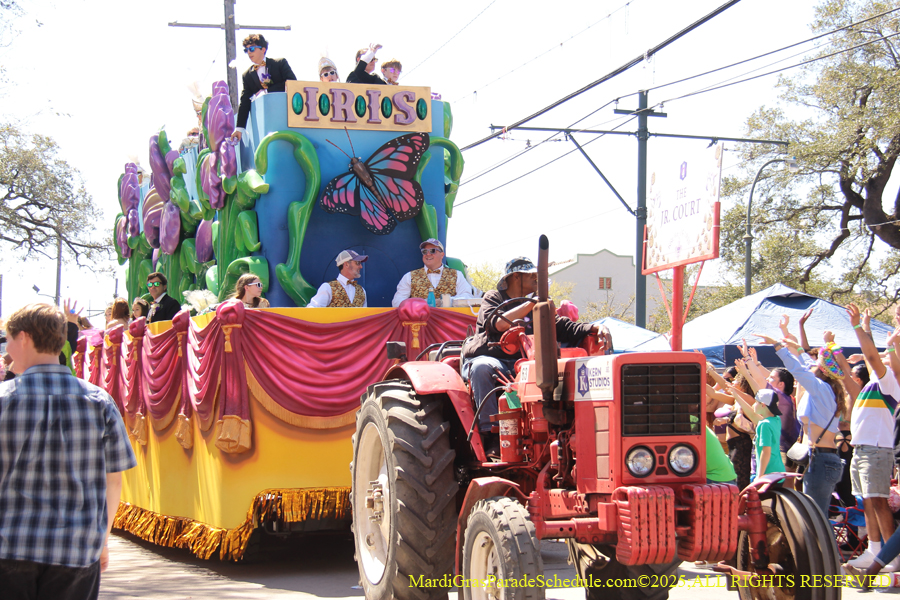 Krewe-of-Iris-2025-0671