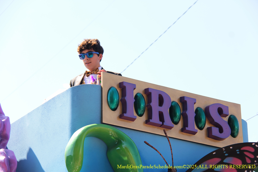 Krewe-of-Iris-2025-0672