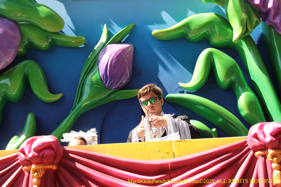 Krewe-of-Iris-2025-0673