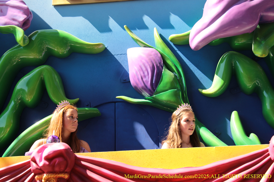 Krewe-of-Iris-2025-0674