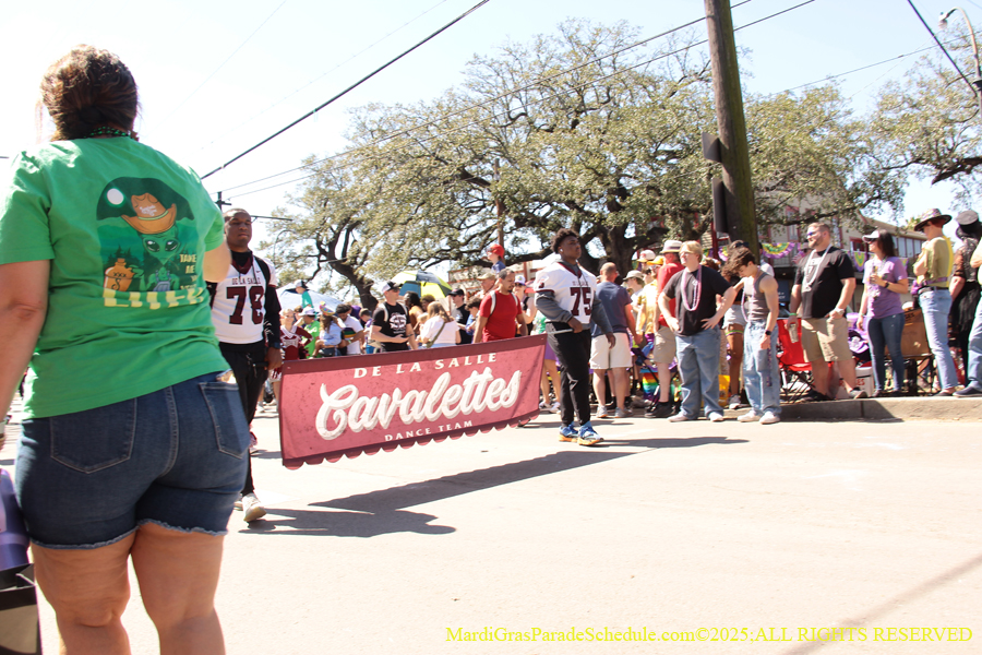 Krewe-of-Iris-2025-0677