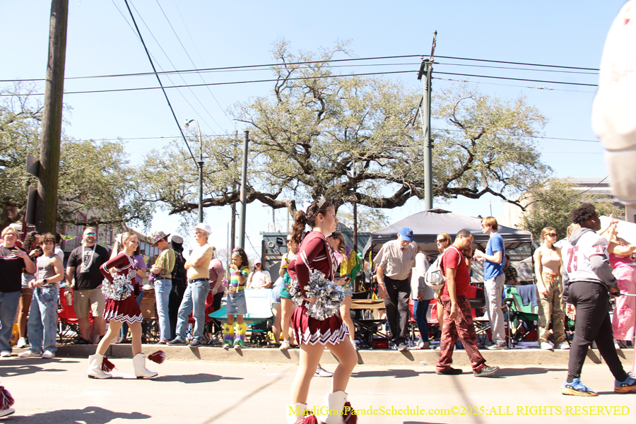 Krewe-of-Iris-2025-0678