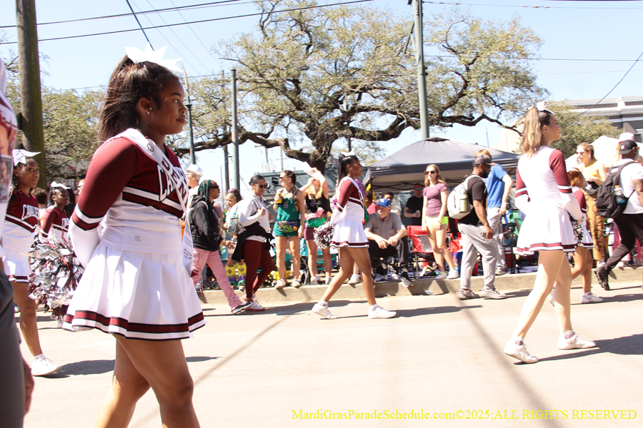 Krewe-of-Iris-2025-0682