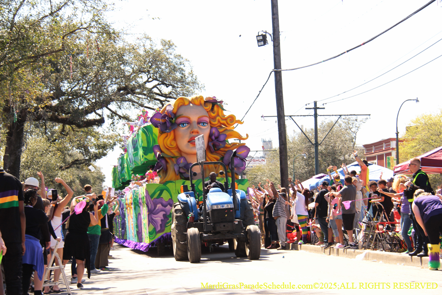Krewe-of-Iris-2025-0684