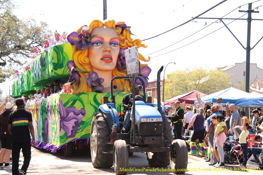 Krewe-of-Iris-2025-0685