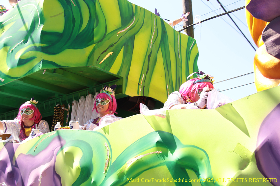 Krewe-of-Iris-2025-0686