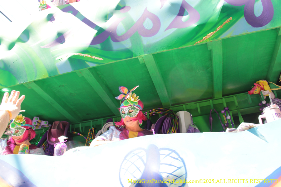 Krewe-of-Iris-2025-0688