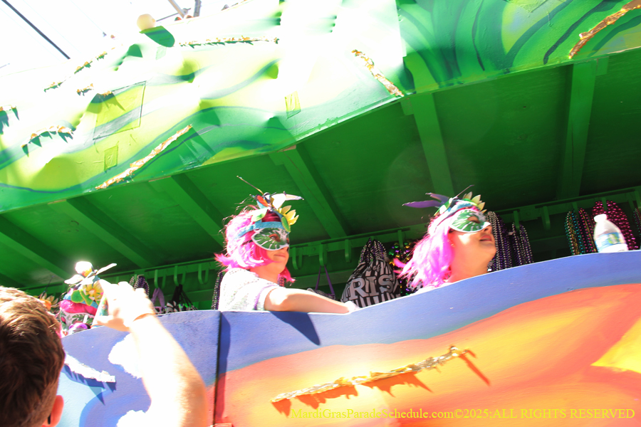 Krewe-of-Iris-2025-0689