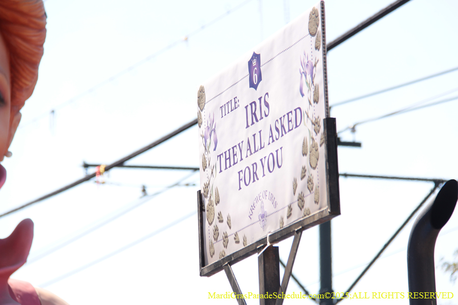 Krewe-of-Iris-2025-0693